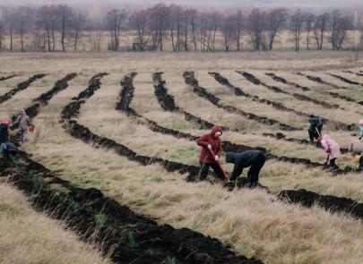 Сегодня - Международный день лесов!